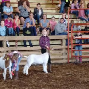 Meet your Posher, Amanda